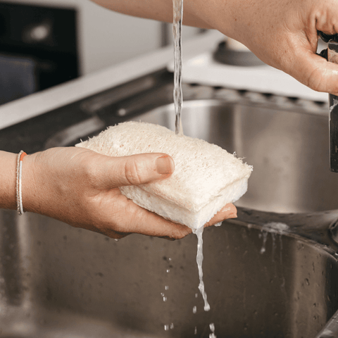 Compostable Sponge with Scourer