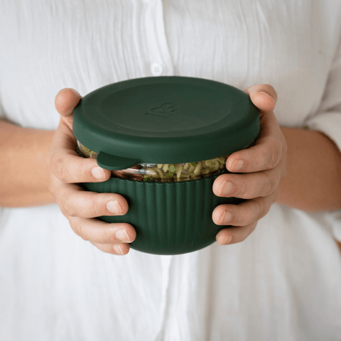 Glass Lunch Bowl