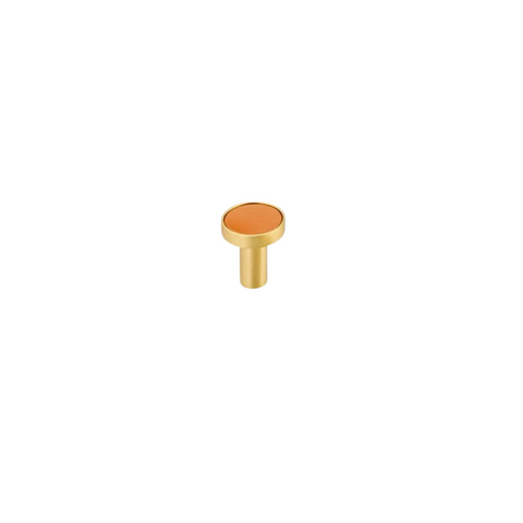 Kara Solid Brass & Leather Knob | Gold & Orange