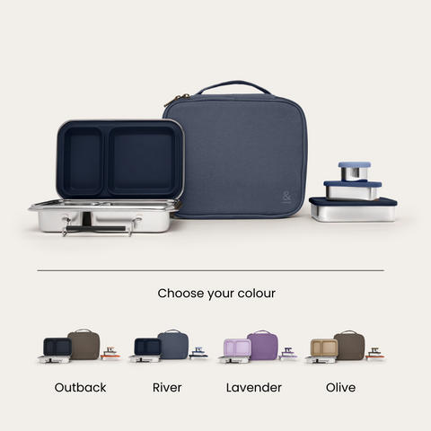 Bento Box Adult Lunch Bundle