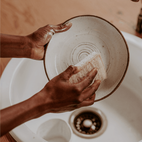 Compostable Sponge with Scourer