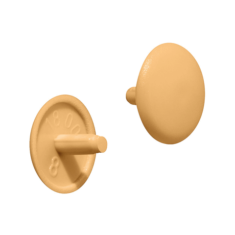 Press-Fit Cover Caps Version: PlasticPZ2 Cross Slot Diameter: Ø 12 mm Colour: Pure white, RAL 9010Light grey, RAL 7035Pine colouredIvory, RAL 1015Fawn brown, RAL 8007Stone grey, RAL 7032Black, RAL 9005 Packing: 1000 pieces Hafele