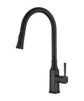 HEL005BK – Helena Pull Out Kitchen Mixer – Matt Black
