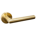 Glenelg Lever Handle Features: Hollow stainless steel handleStainless steel rose cover and diecast base Concealed through-bolt rose fixing press fit rose cover Finish: Satin stainless steelPolished stainless steelSatin brassAntique brassGraphite black Doo