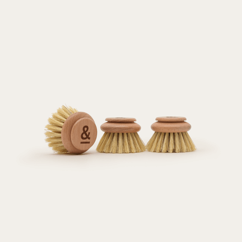 Dish Brush Head Replacement | 3pk Regular