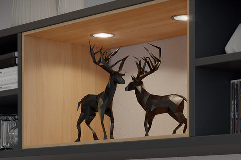 Häfele LED Downlight Kit