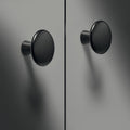 Zinc Alloy Furniture Knobs Material: Zinc alloy Finish: Chrome-plated, polishedNickel-plated, mattBrass, brushedBlack, matt Dimensions: Height: 22mmBase: 12mmKnob: 30mm Hafele