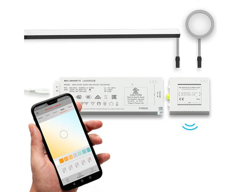 L&S MEC System Bluesmart Distribution Module. For RGB Lighting. 4 ways. 24 Volt