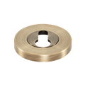 Momo Euro Cylinder Escutcheon in a sleek brass finish, ideal for enhancing door security and aesthetics.