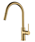 STRM005PB – Star Mini Pull-Out Kitchen Mixer – Polished Brass
