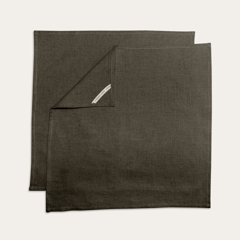 Napkin 2pk