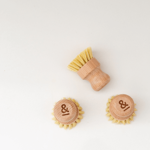Pot Scrubber | Beechwood