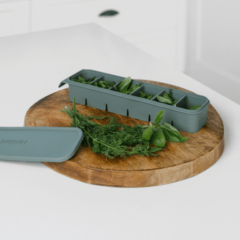 6 Portion Silicone Freezer Tray