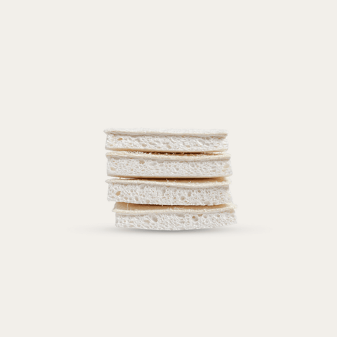 Compostable Sponge with Scourer